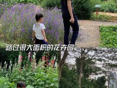 -广西壮族自治区药用植物园