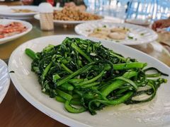 有机蔬菜-七鲜渔港美食餐厅(巽寮湾海景店)