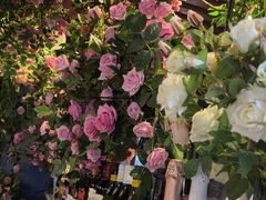 -第101座花园餐厅(湖滨88店)