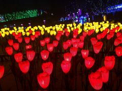 -长春公园(普阳街道)