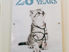 -北京观赏动物医院·24小时大型综合·猫专科·异宠专科