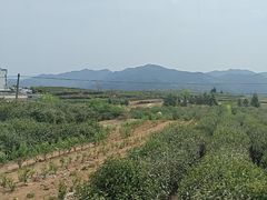 -乌石村