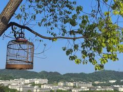 -伴山茶苑·一盏冰茶·半日山居