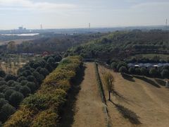 -武汉紫薇都市田园