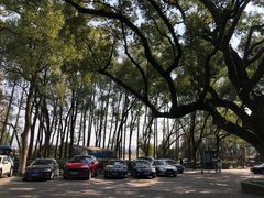 -宁波市保国寺古建筑博物馆