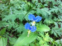 iphone_upload_pic-灵溪风景区