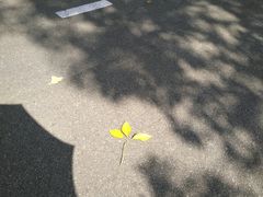 -福建鲤鱼洲酒店