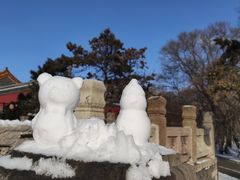 -北陵公园