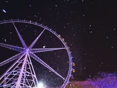 -锦江乐园舞狸花花游园会(夜场专享)