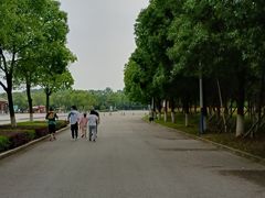 -南湖湿地公园