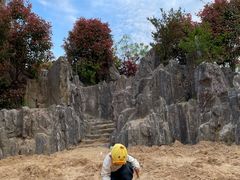 -嘉北郊野公园