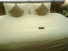WP_20131209_008[1]-上海浦东星河湾酒店
