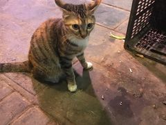 -吉友粥底火锅(方斜路店)