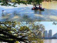 -江心屿景区