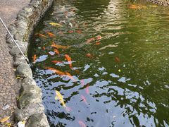 -海南文笔峰盘古文化旅游区