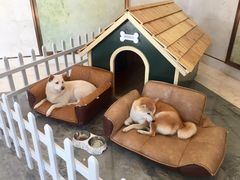 -上海崇明金茂凯悦酒店