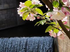 -海棠花溪(元大都城垣遗址公园)