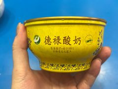 -德禄酸奶(莫家街店)