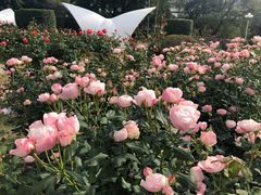 -人民公园(罗湖区)