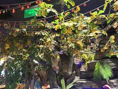 -城墙拐拐火锅(三峡广场黑金冠店)