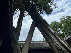 -太平天国侍王府