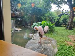 -熊猫自助餐厅.萌趣城堡(长隆熊猫酒店)
