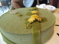 抹茶巧克力慕斯冰淇淋蛋糕-哈根达斯(红谷滩万达店)