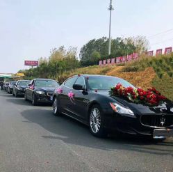 -蚂蚁婚车