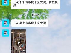 -宠颐生斯嘉宠物医院·急重症·心内科(谷阳北路分院)