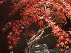 -喜湘宴·精致湖南菜(和平西桥店)