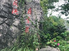 -鹅湖玫瑰文化园
