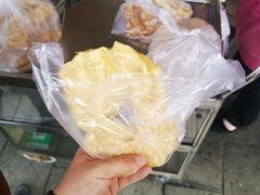 -传说中那条蛋散