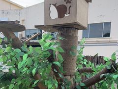 -DGE季风钓虾营地·团建·聚会