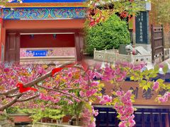 -石岛赤山风景区