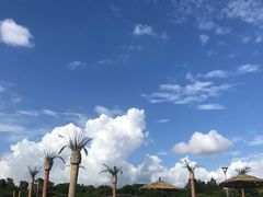 -上海月湖雕塑公园