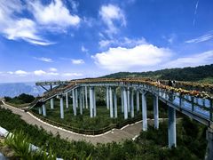 -王莽岭风景区