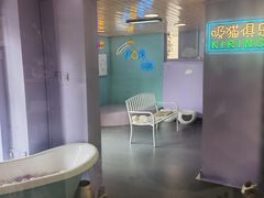 -十年猫舍·猫咪专门店(普陀店)