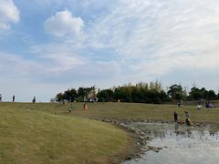 -滆湖低碳生态公园