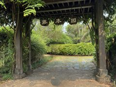 -中国科学院西双版纳热带植物园