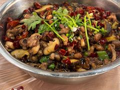 -食神又名厕所兔