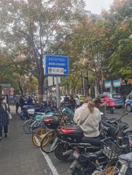 -复旦大学附属妇产科医院(杨浦院区)