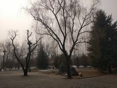 -终南山古楼观历史文化景区