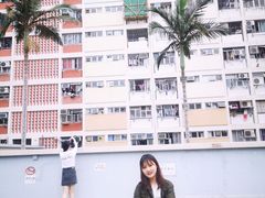 -彩虹村