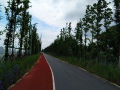 -上海长兴岛郊野公园