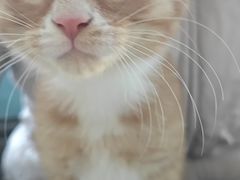 -美联众合24小时·皮肤科·外科·全科诊疗中心(华苑分院)