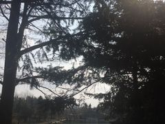 -四明山国家森林公园