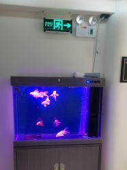 -海涛医疗美容·面部抗衰·注射美鼻