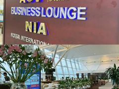 -河内内排国际机场