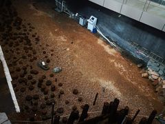 -元代水闸遗址博物馆