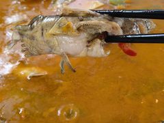 -听香·678茶铺(猛追湾店)